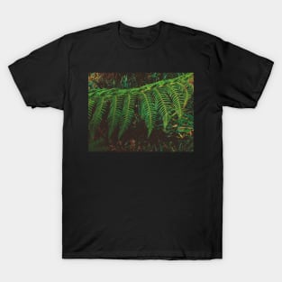 Fern Time T-Shirt